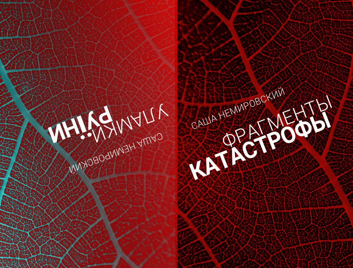 Саша Немировский: ФРАГМЕНТЫ КАТАСТРОФЫ