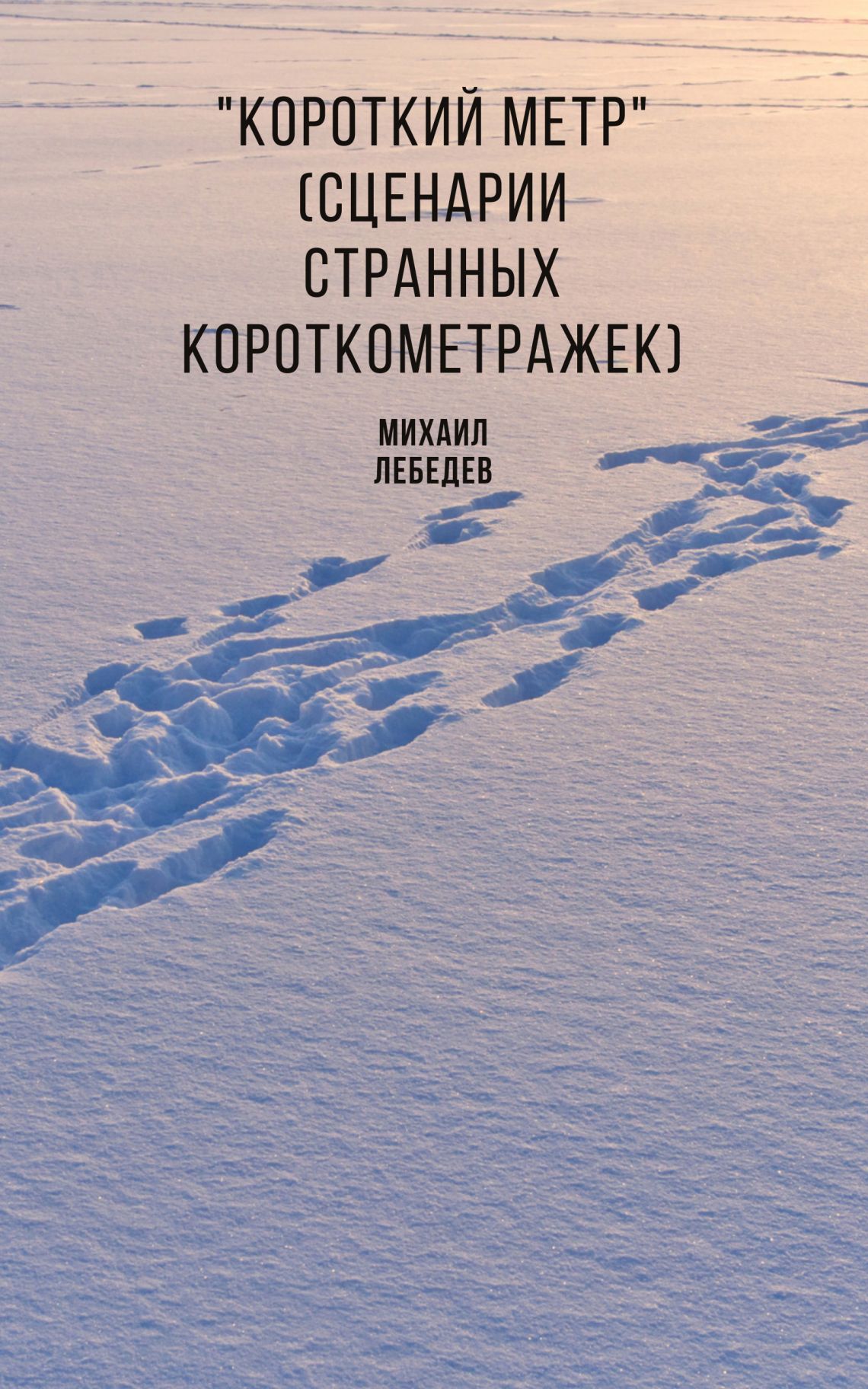 Михаил ЛЕБЕДЕВ "Короткий метр"