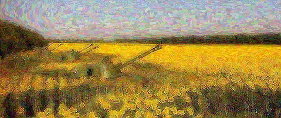 Дмитрий Гаранин