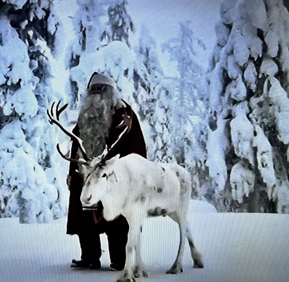 Бьёт Январь свои рекорды.Белой шалью снег ложится.А Наташки ёлка снится.Ветер белые снежинки .В даль уносит тишину.Где мороз с оленям бродит.Сторожит таёжную красу.Лунный месяц осветил.Волк внезапно заскулил.А на елях белки скачут.Зайчики под снегом плачут.Плачет под окном метель.