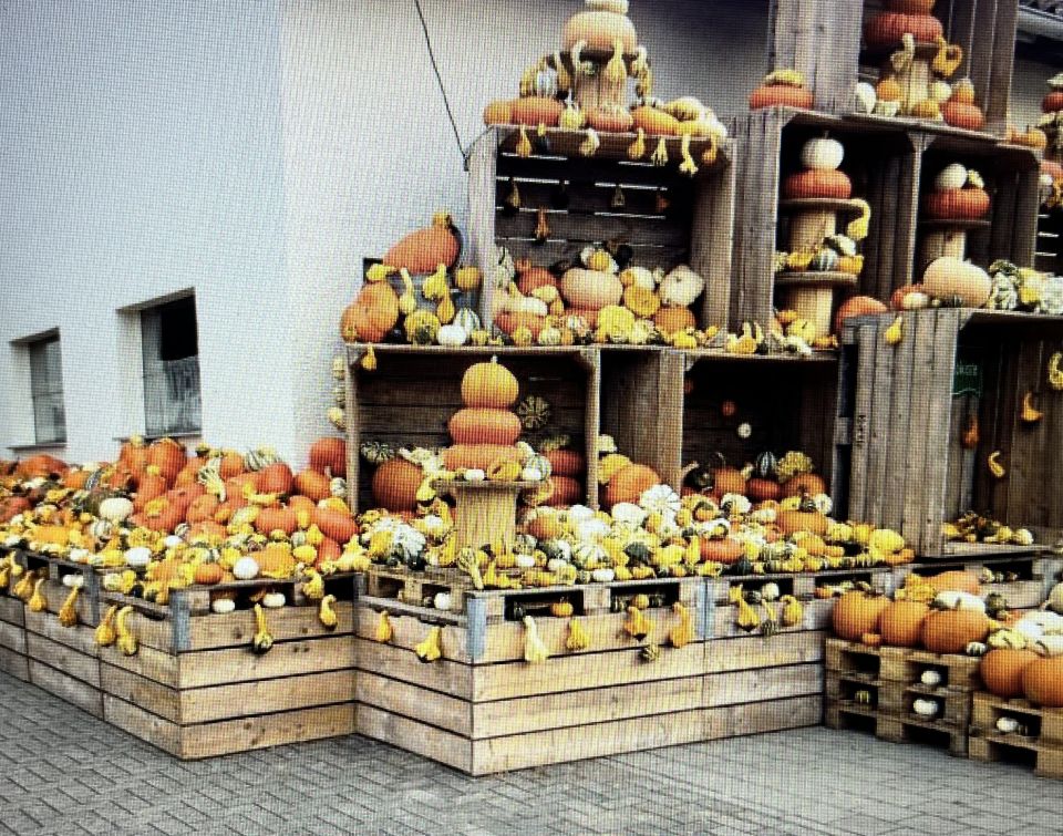 Маша кашку просит в срок, Дед за голову схватился .И в компьютер углубился, в миг в рецептах растворился.Бросил всю пургу читать и про бабку вспоминать.Тыква, сахарная свёкла, рис малиновый сироп.Это братцы просто топ, а потом десерт из тыквы.Виноград калина мёд, и в душе приятный шок.На вечерние сиделки запеканку пирожки.А внутри орех кедровый , клюква и лесной медок.Чуть для связки творожок, чай цветочный в звёздный час.Сердце в радости у нас,