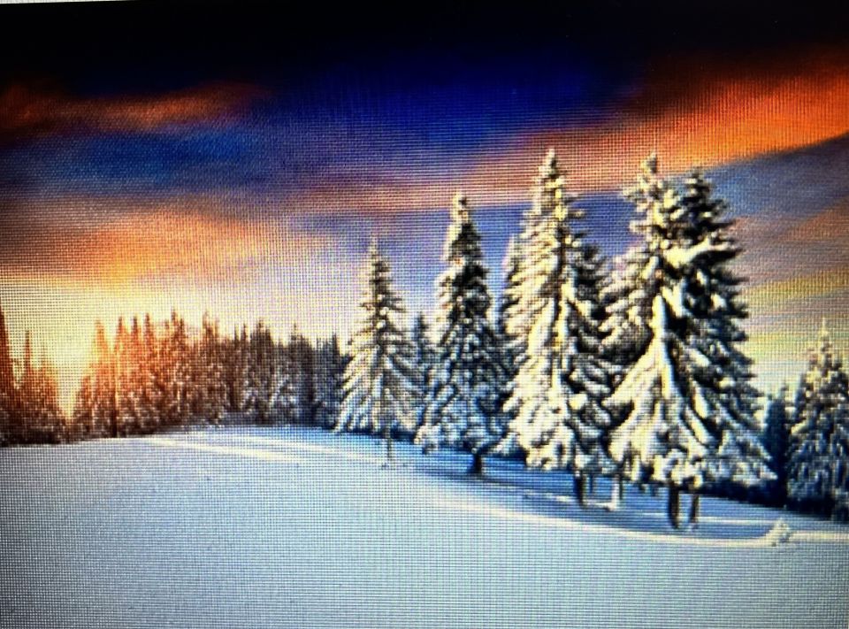 Всю ночь под окнами домов, метель сбивала ритм снов.Сжимая тёплую подушку, как уж болотную лягушку.А ранним утром сам не свой, сжимаясь калачом под зной.Бабуля печь дровами топит, смолою пахнет вся изба.Сибирский кот мурлычет бабки, присел у южного окна.Мороз рисует нам узоры и серебрится пилена.Вдруг слышу птицы нам щебечут, не уж то к нампридёт весна, душа моя так встрепенулась,Откинул одеяло с ног. От радости я чуть продрог.Смотрю сквозь радужный узор, калина красная в заре.К нам снегири вновь прилетели, в окне узоры пожелтели.